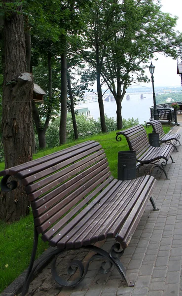 Greene Park 'taki ahşap bank.