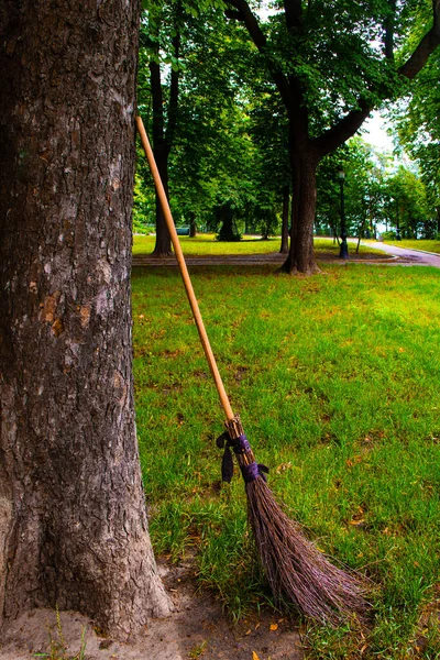 Parktaki ağaçta tahta süpürge.