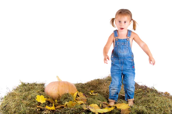 かぼちゃの白い背景の上の国のスタイルの女の子 — ストック写真