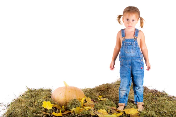 かぼちゃの白い背景の上の国のスタイルの女の子 — ストック写真