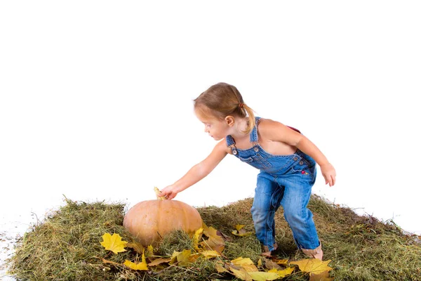 Chica Estilo Country Con Calabaza Sobre Fondo Blanco —  Fotos de Stock