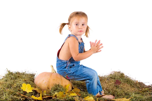 Country style girl with pumpkin on white background