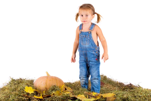 Country style girl with pumpkin on white background