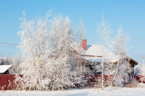 Snow-covered village house in winter landscape