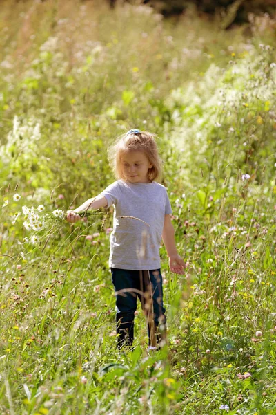 Niedliches Mädchen Auf Einem Sommerfeld Mit Einem Strauß Gänseblümchen — Stockfoto