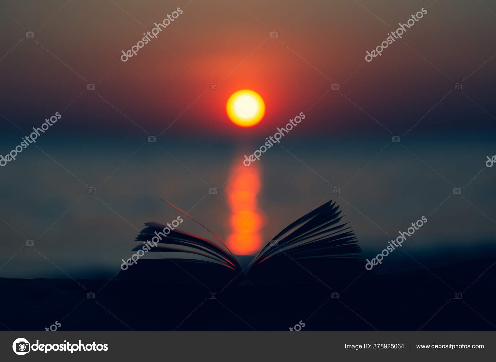 Open Book Bible Wood Background Outdoor God Promises Daily Life Stock Photo Image By C Photosky99 378925064