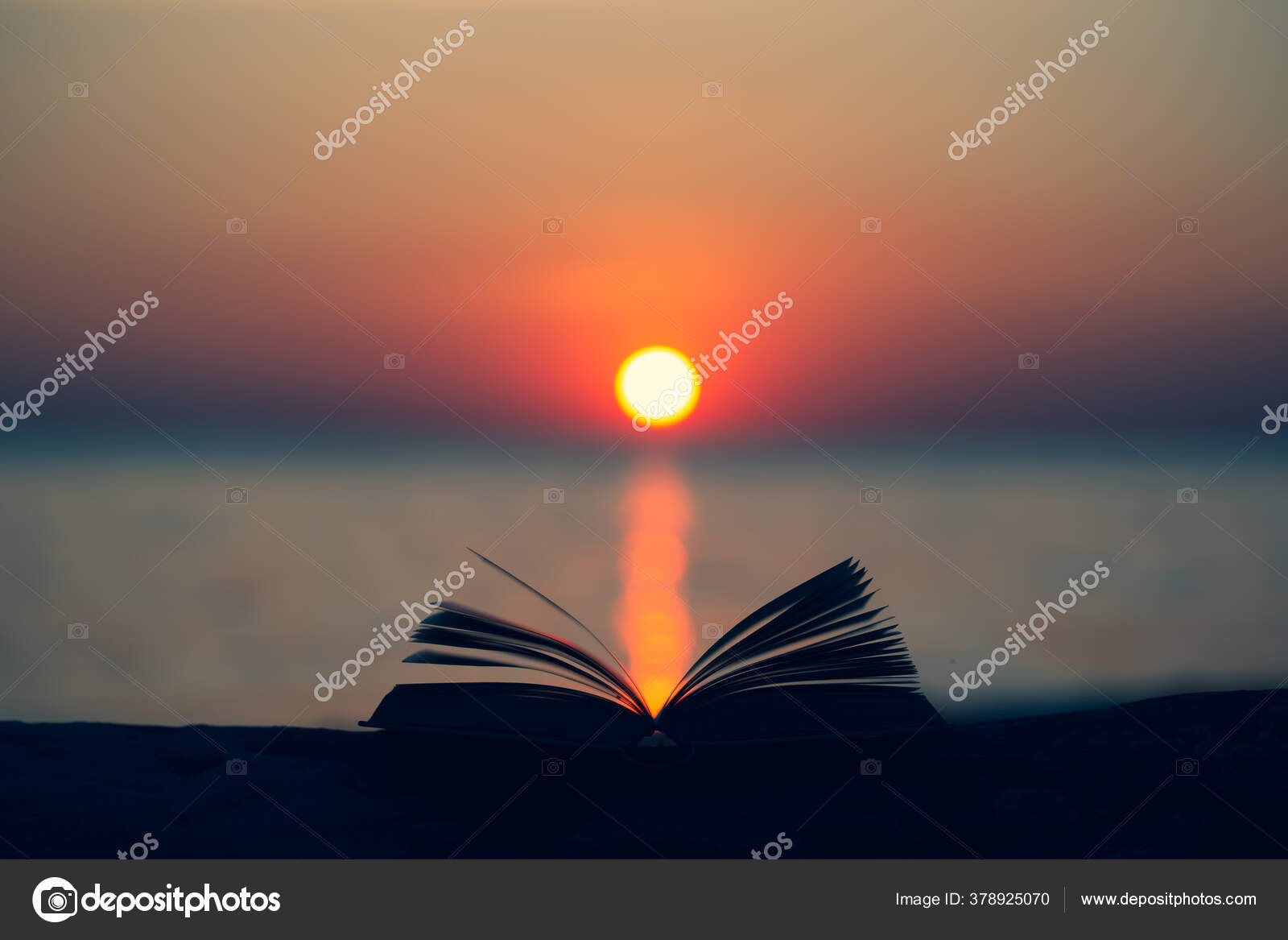 Open Book Bible Wood Background Outdoor God Promises Daily Life Stock Photo By C Photosky99 378925070
