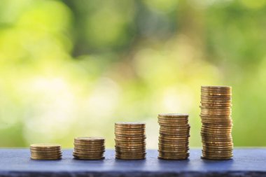 Kazanç elde etmek için yatırım fikirleri. İş hayatında başarıya ulaşmak için. Altın para grafiği doğal bulanık arka plan üzerine.