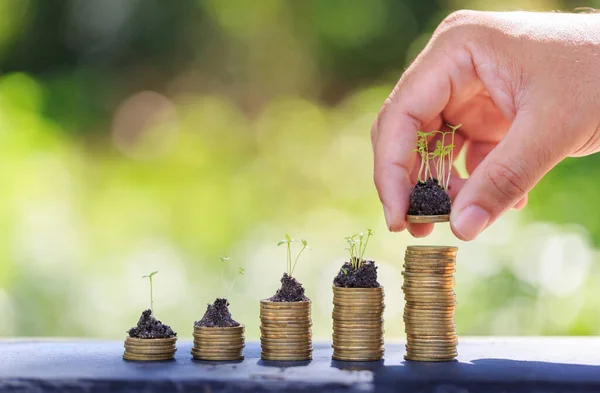 Retorno Sobre Conceito Investimento Poupar Dinheiro Para Lucro Mudas Fundo — Fotografia de Stock