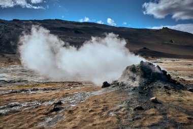 İzlanda 'da İzlanda atı