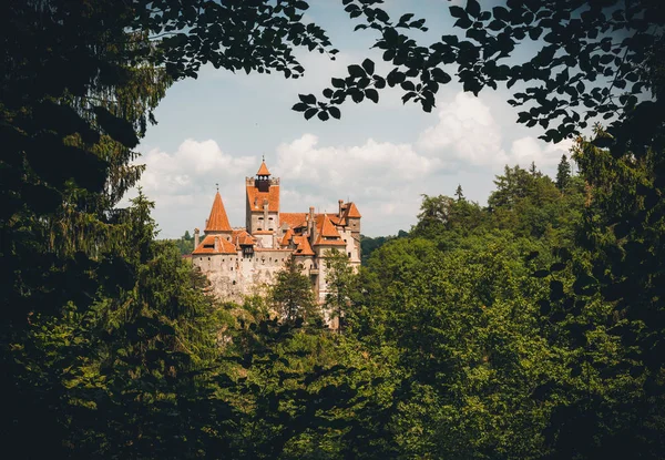 Castelo Bran Entre Florestas Das Montanhas Cárpatas Morada Drácula Transilvânia — Fotografia de Stock