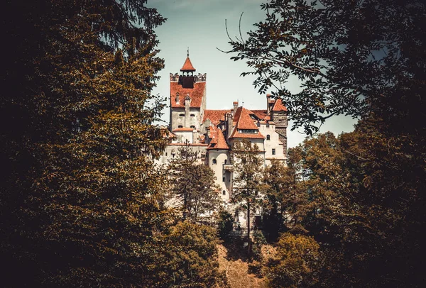 Замок Бран Среди Лесов Карпатских Гор Обитель Дракулы Трансильвании Румыния — стоковое фото