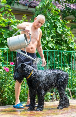 Sahibi köpeğiyle oynuyor ve bu su ile dökülen
