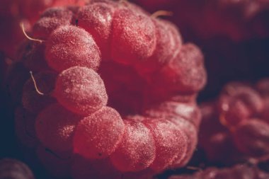 Olgun ahududu closeup 