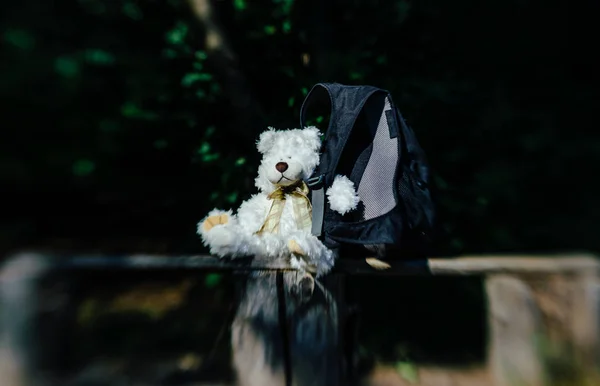 Weißer Teddybär Mit Touristenrucksack Einem Sommerwald — Stockfoto