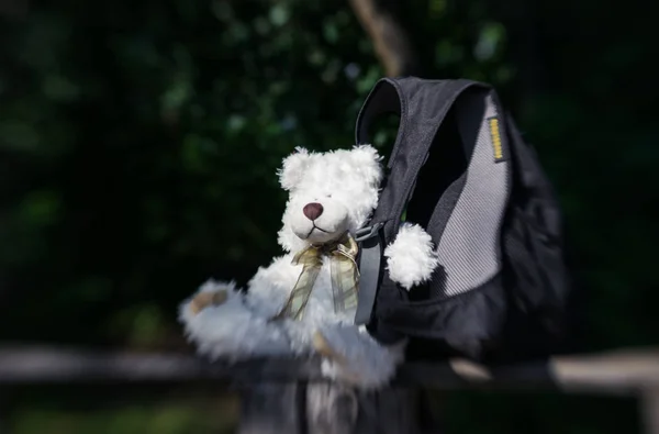 Teddy Bear Utazó Turista Hátizsák Nyári Erdőben — Stock Fotó