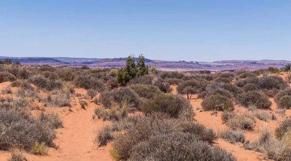 Öknen Landskap Utah Usa Öknen Moab — Stockfoto