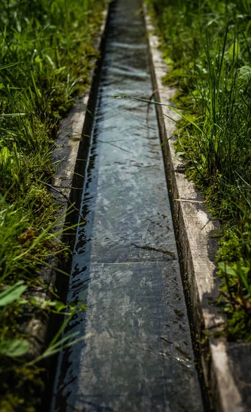 Dubové Dřevěné Hřbetu Pro Dodávku Vody Dekorativní Studna — Stock fotografie