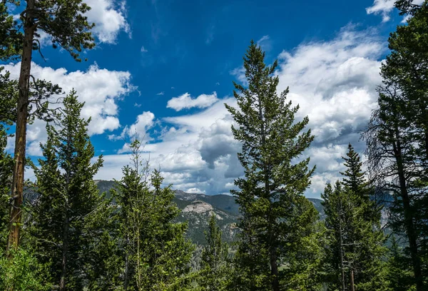 Foreste Pittoresche Cime Delle Montagne Rocciose — Foto Stock