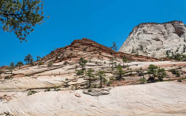 Viharvert Sziklák Zion Nemzeti Park Utah Amerikai Egyesült Államok — Stock Fotó