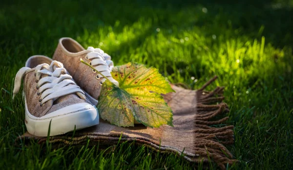 Autumn shoes and fallen yellow foliage. Autumn postcard