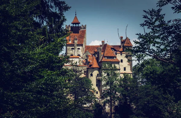 Misterioso Belo Castelo Bran Vampiro Residência Drácula Nas Florestas Roménia — Fotografia de Stock