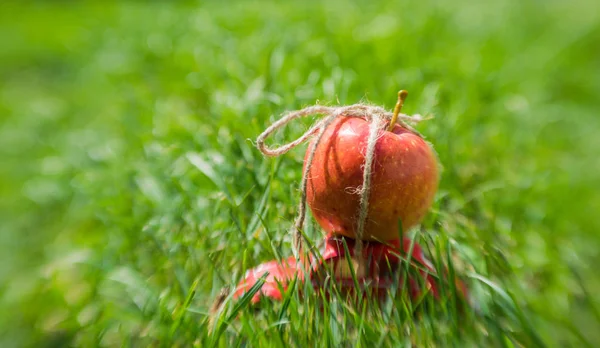 Biologisch Voedsel Verse Sappige Appel — Stockfoto