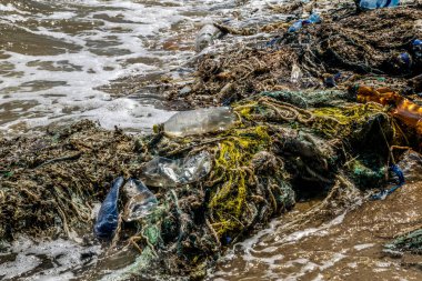 Plastik dünyanın okyanusların kirliliği. Pasifik Okyanusu, ABD