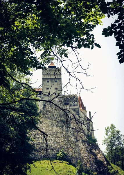 Misterioso Hermoso Castillo Salvado Residencia Vampiros Drácula Los Bosques Rumania — Foto de Stock