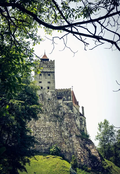 Mysterious Beautiful Bran Castle Vampire Residence Dracula Forests Romania — Stock Photo, Image