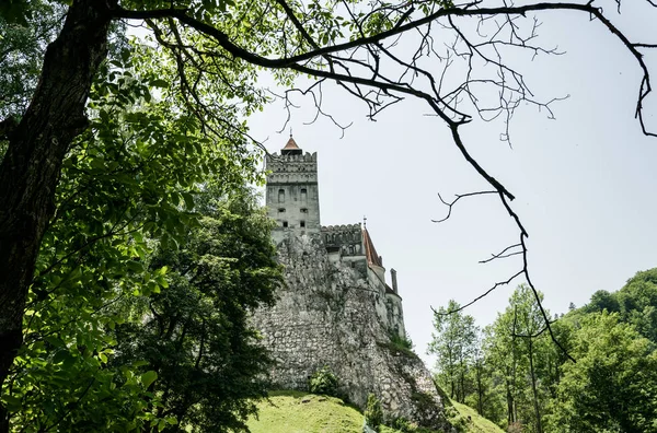 Misterioso Hermoso Castillo Salvado Residencia Vampiros Drácula Los Bosques Rumania — Foto de Stock