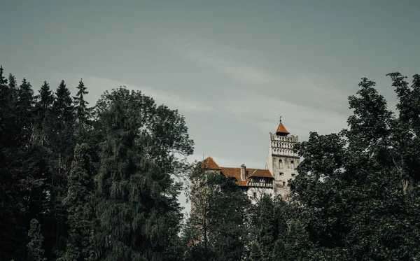 Misterioso Belo Castelo Bran Vampiro Residência Drácula Nas Florestas Roménia — Fotografia de Stock