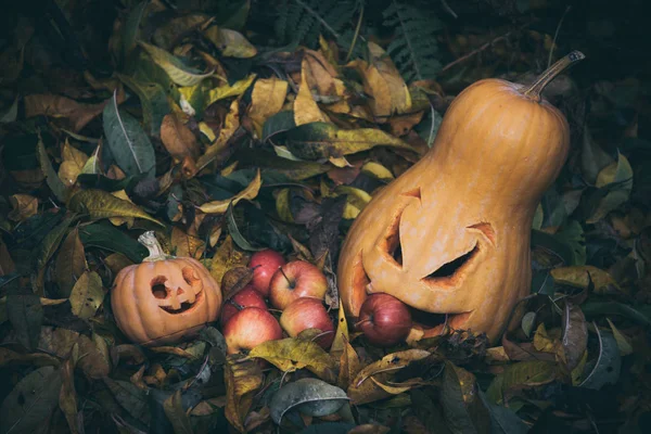 Lámpara Calabaza Tallada Decoraciones Tradicionales Halloween —  Fotos de Stock