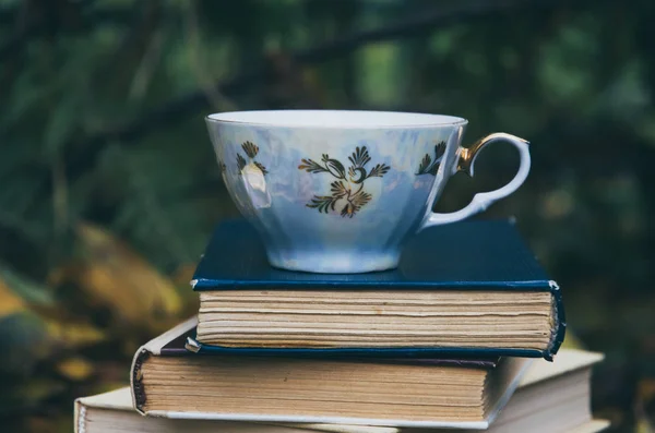 Tasse Heißen Tee Alte Bücher Und Abgefallene Herbstblätter — Stockfoto