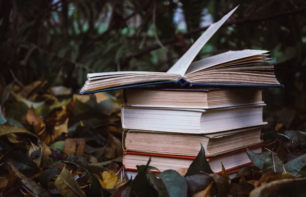 Livros Antigos Contra Fundo Folhas Amarelas Caídas Jardim Outono — Fotografia de Stock