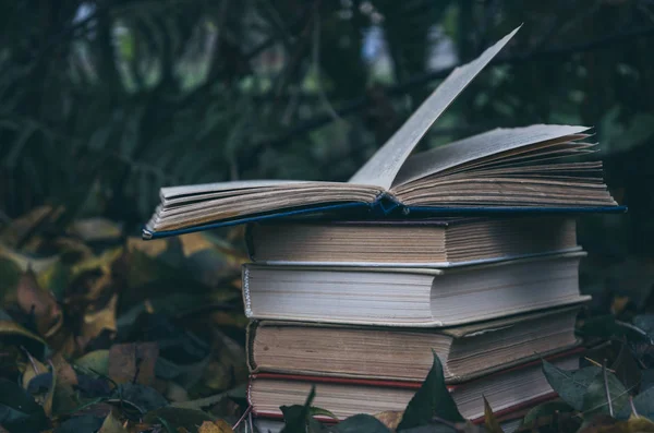 Livros Antigos Contra Fundo Folhas Amarelas Caídas Jardim Outono — Fotografia de Stock