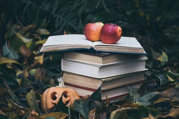 Livros Antigos Contra Fundo Folhas Amarelas Caídas Jardim Outono — Fotografia de Stock