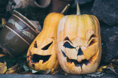 Eski sarı kabak çürüyen. Geleneksel Halloween süslemeleri