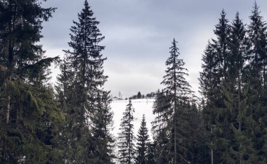 Doğu Avrupa'da Karpat Dağları'nda kış manzarası