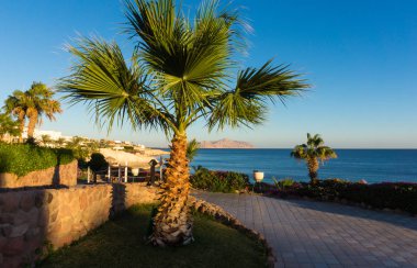 Mısır'ın Kızıldeniz kıyısını tesisi alanı üzerinde gün batımı. Tatil, Sharm El Sheikh