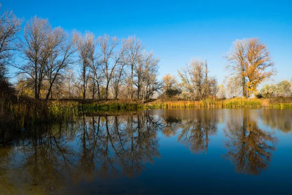 Mooi Herfst Landschap Bomen Die Gereflecteerd Het Water Van Het — Stockfoto