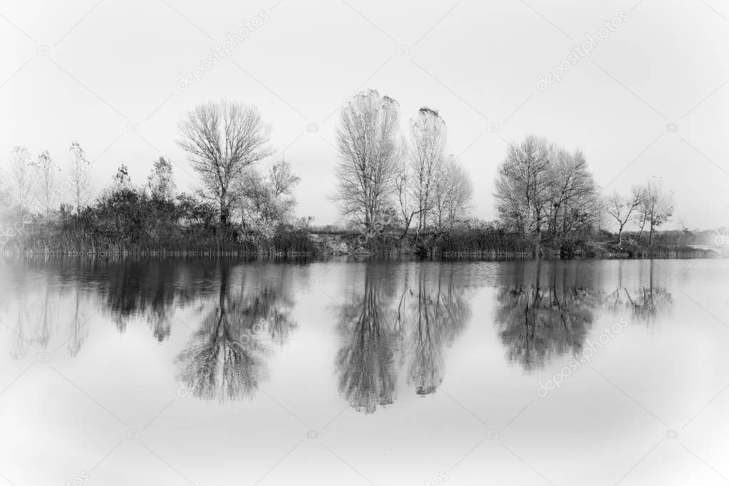 Beautiful autumn landscape. Trees reflected in the water of the lake. Black and white colors