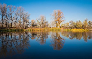 Güzel sonbahar manzara. Gölün suya yansıyan ağaçlar