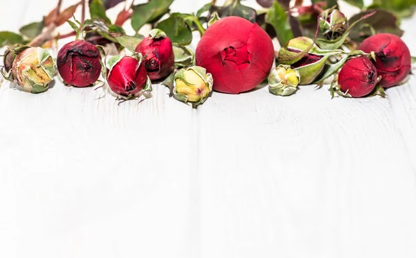 Buquê Festivo Botões Rosa Fundo Velhas Tábuas Madeira Brancas — Fotografia de Stock