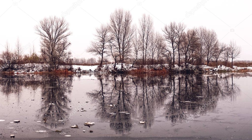 Beautiful winter landscape. Trees reflected in the water of the lake