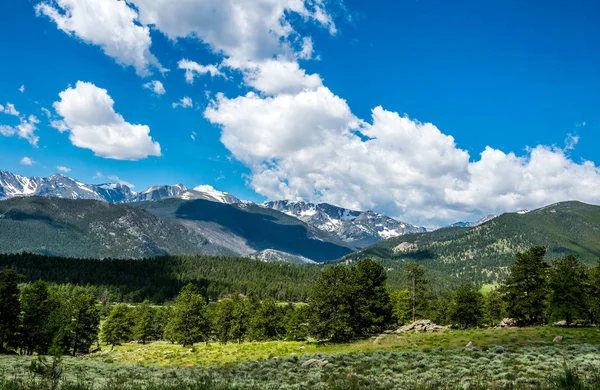 Yaz aylarında dağlara Colorado, ABD. Pitoresk yeşil dağlar, zeytin ağaçları ve dağ zirveleri. Doğa Rocky Dağı Milli Parkı'nda