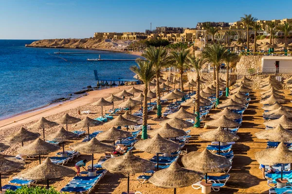 Mısır'ın Kızıldeniz kıyısını tesisi alanı üzerinde gün batımı. Tatil, Sharm El Sheikh