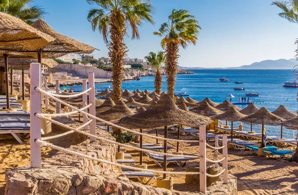 Sharm Sheikh Sinaï Égypte Décembre 2018 Belle Plage Ensoleillée Parasols — Photo