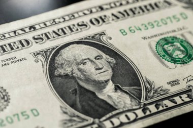 Makro bir dolar faturaları