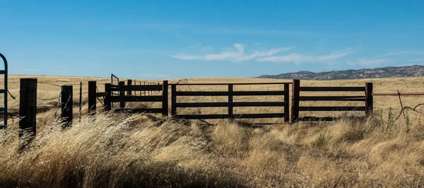 Campos Secos California Verano Caluroso Suroeste Estados Unidos —  Fotos de Stock